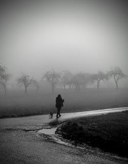 Nebelspaziergang