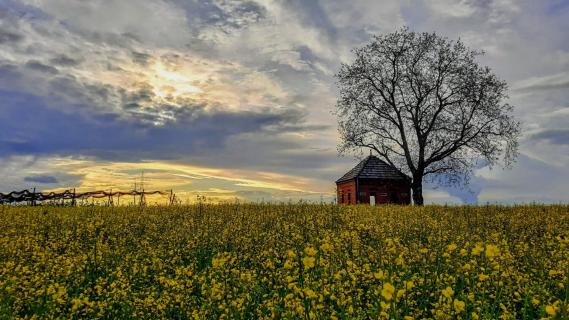 Frühling