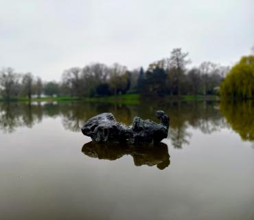 Naturspiegel