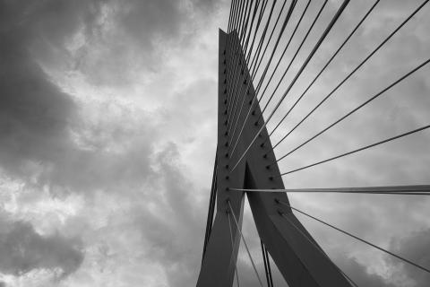 Bridge Rotterdam