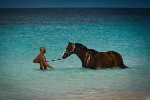 Me and my Horse
