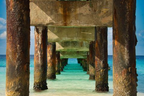 Under the Pier