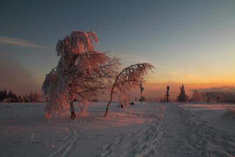 Ein Morgen im Winter