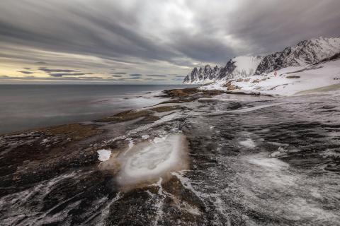 Senja