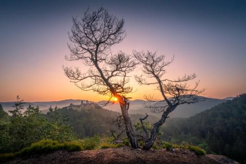 Magischer Morgen