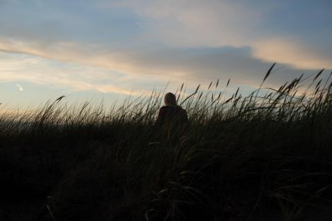 Before Sunset
