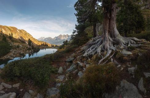 Alpenwelt