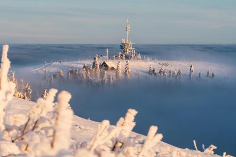 Hornisgrinde über dem Nebelmeer im Schwarzwald