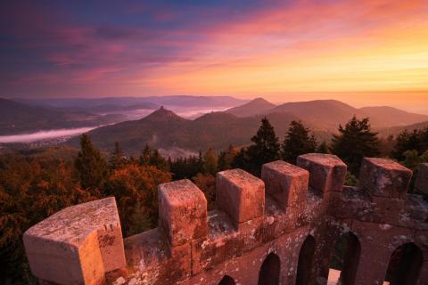 Ausblick vom Rehbergturm in den Pfälzerwald