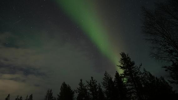 Nordlich