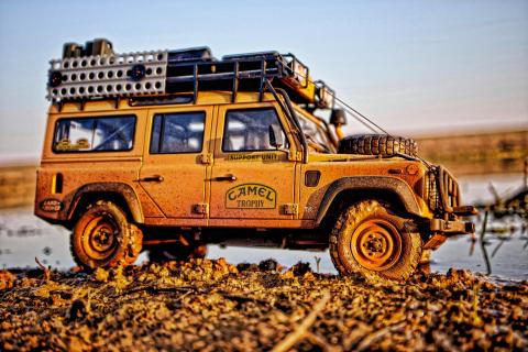 Heia! Safari!