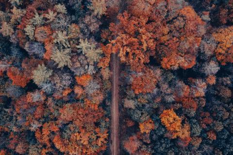 Herbstfarben