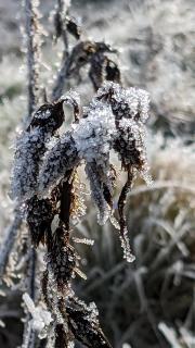 Blatt-02