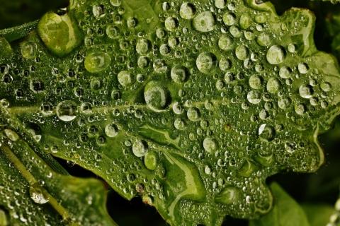 Wassertropfen