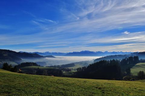 Nebel im Tal