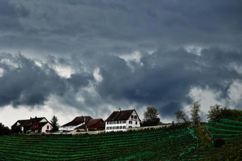 Weisse Häuser