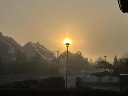 Nebel, Mondlicht, Straßenlaterne