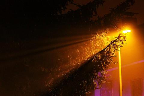 leichter Nebel...