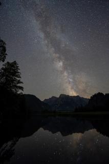 Almsee