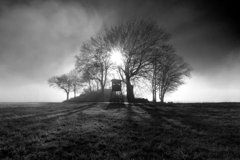 Nebel an einem kalten Wintermorgen