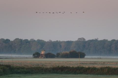 Ausflug früh morgens