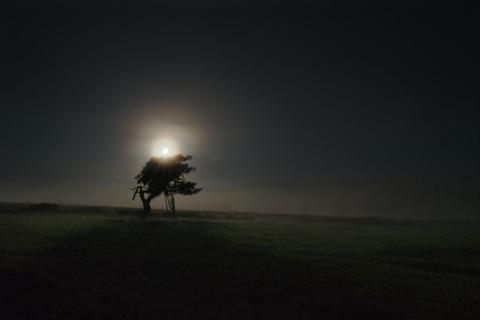 Schatten in der Nacht