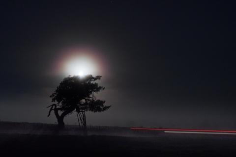 Mond über Jägersitz