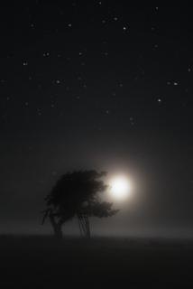 Mond hinter Jägersitz