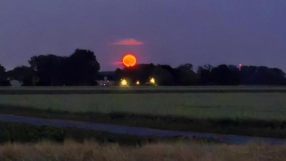 Erdbeermond 