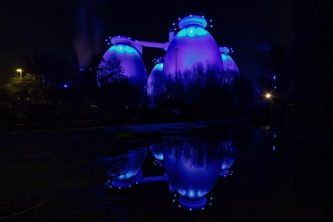 blaue Eier