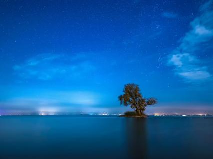 in der stillen Nacht