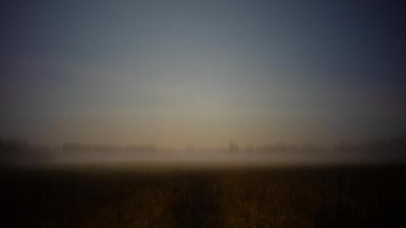 Am Ende der Nacht