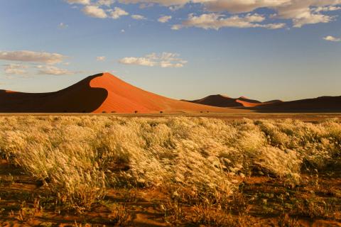 Sossusvlei