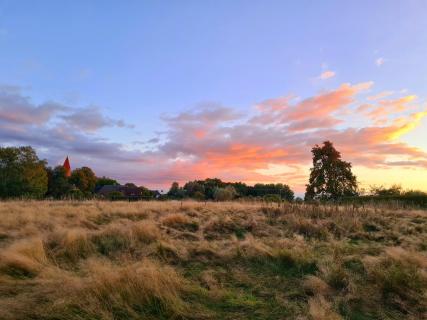 Herbsthimmel Storchenwiese