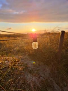 Abendlicht