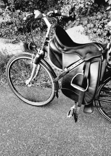 Fahrradsattel