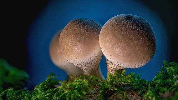 2025 10 18 14-28-27 (B,R8,S4)