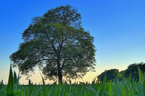 HDR Landschaftsaufnahme