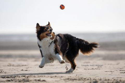 Spaß am Strand