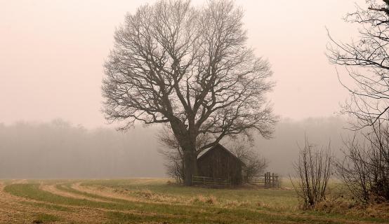 der alte Weidestall