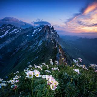 Appenzell