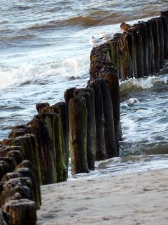 Wooden Posts In Sea