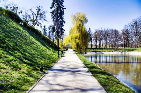 Spazierweg im Park