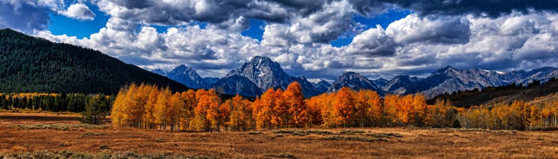 Kurz vorm Yellowstone NP