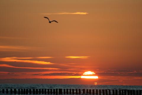 Sonnenuntergang am Meer