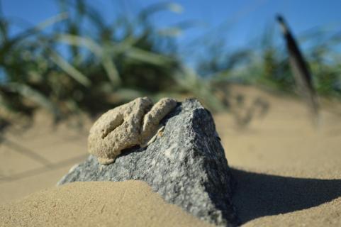 Sand und Stein