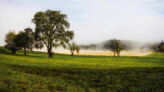 39_ Südsteiermark_arnold_jeserznik