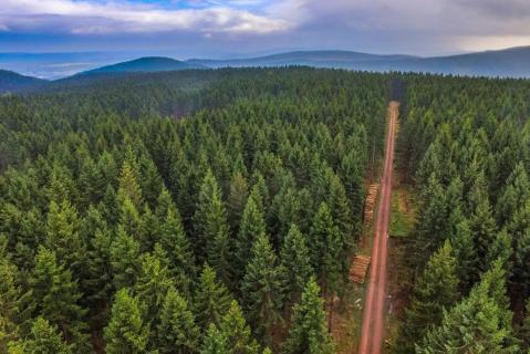 Drohnenflug über den Thüringer Wald 