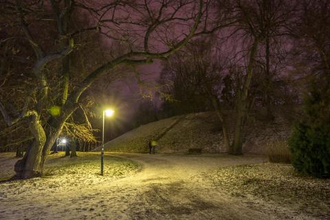 Winternacht im Schlosspark 