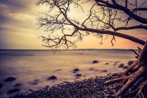 Abendstimmung am Steinstrand